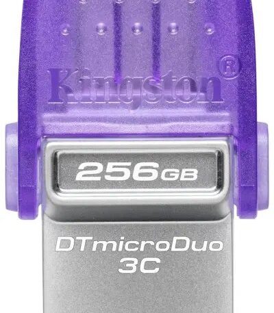 256GB)