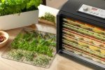 SFD 6601BK Food Dehydrator        SENCOR