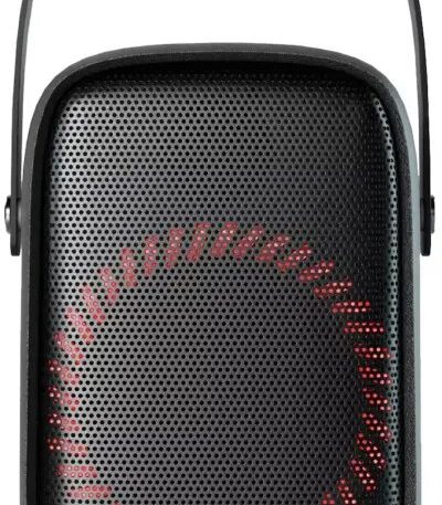 EDEN SPEAKER - ED-WP601