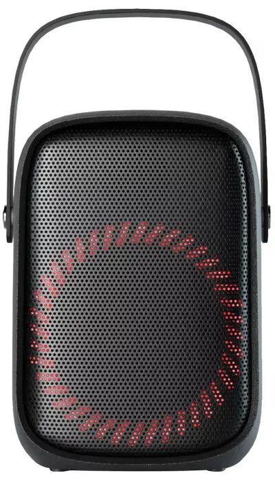 EDEN SPEAKER - ED-WP601
