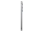 256GB 5G Silver Shadow