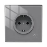 Moes WK-EU16M-GY-MS Wi-fi ჭკვიანი როზეტი რუხი