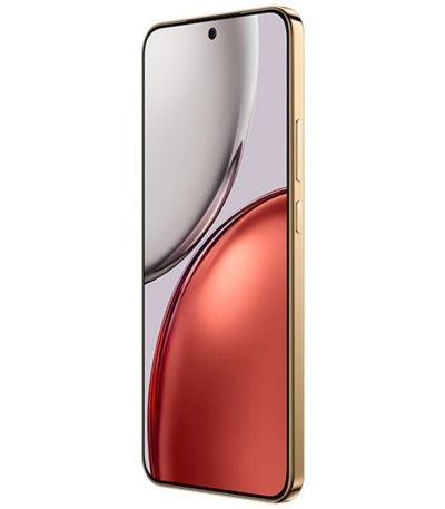 256GB Reddish Brown