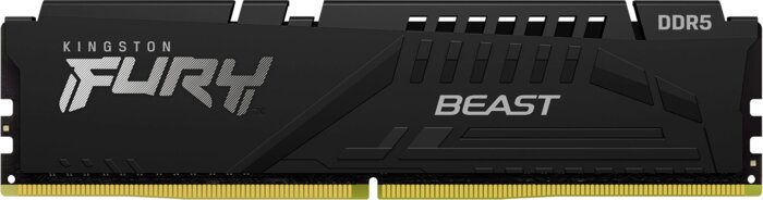 8G D5-6000C36 EXPO Beast