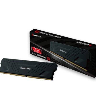 Biostar DRAM,DRAM Heatsink Storming V 16GB DDR4