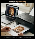 Choetech AB0060 USB-A to B პრინტერის კაბელის - Image 6